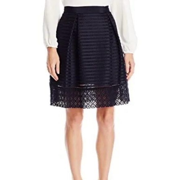 Ted Baker Dresses & Skirts - Ted Baker lace and mesh panelled skirt